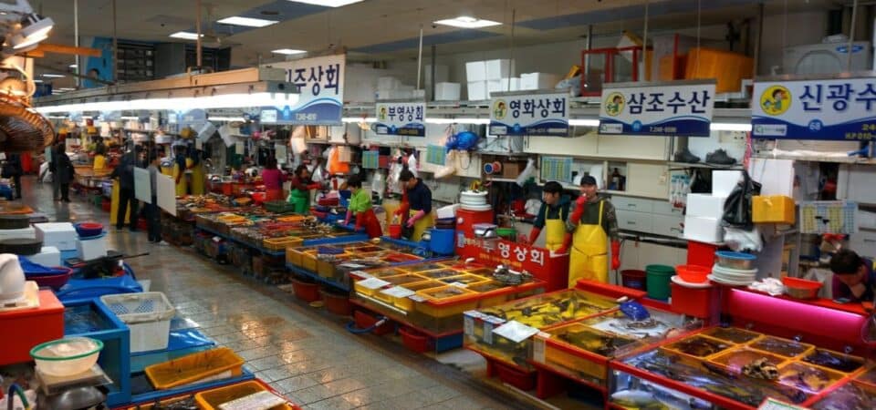 Jagalchi Fish Market korea