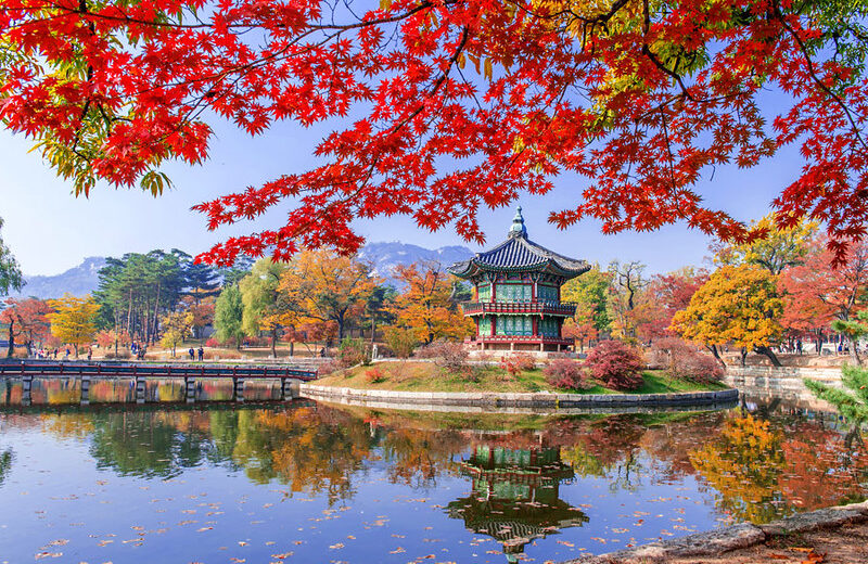 Deluxe Korea Journey  6 Days