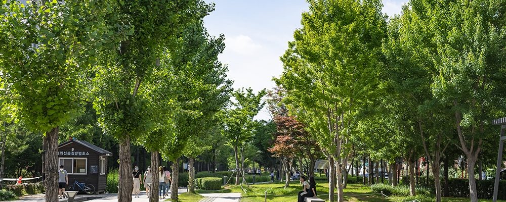 Yeonnam-dong-Gyeongui-Line-Forest-Park